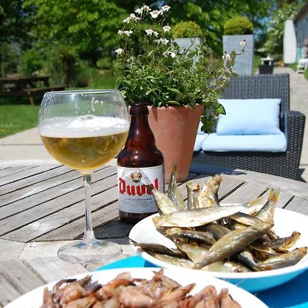 Polderlicht Bed & Breakfast Blankenberge