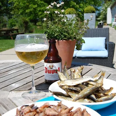 Polderlicht Bed & Breakfast Blankenberge