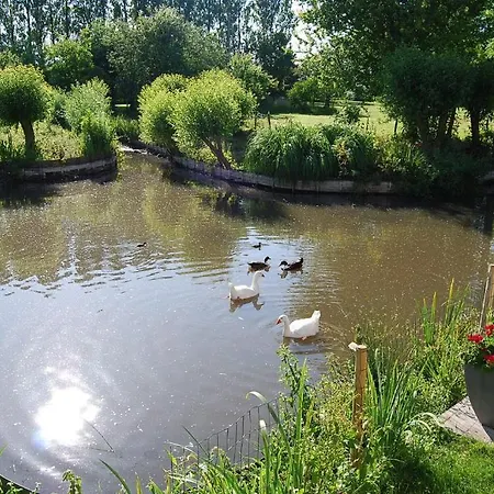 Polderlicht Blankenberge