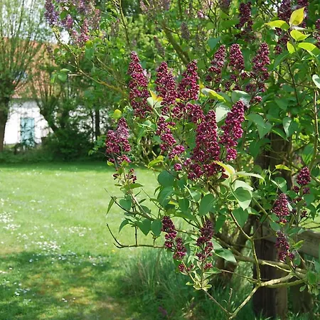 Polderlicht 4* Blankenberge