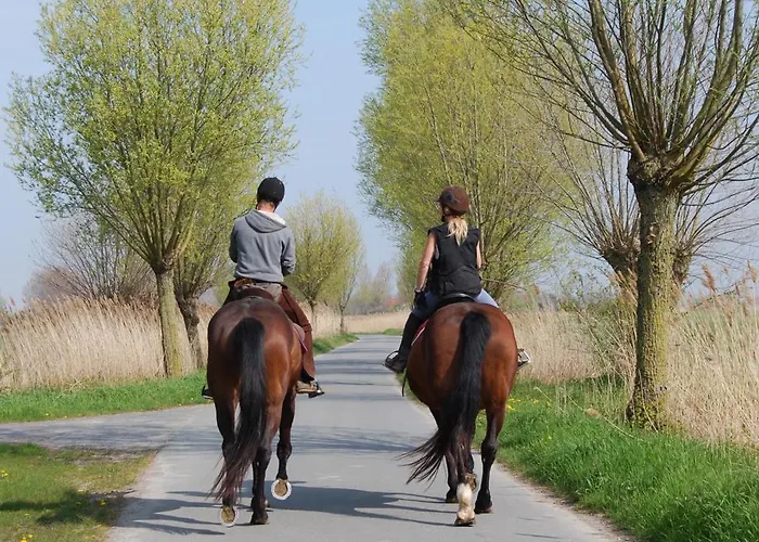 Bed and Breakfast Polderlicht