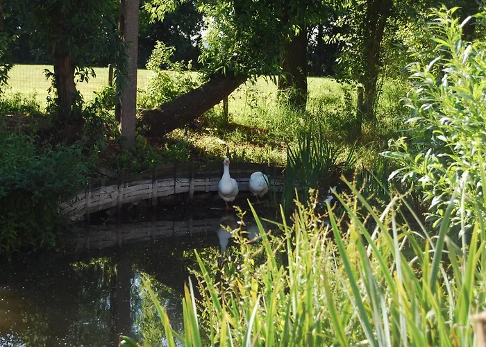 Bed and Breakfast Polderlicht 4*