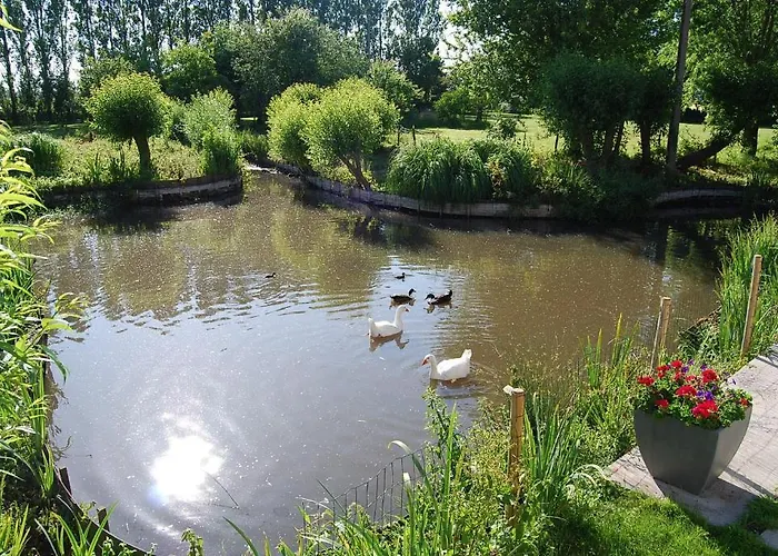 Polderlicht Blankenberge